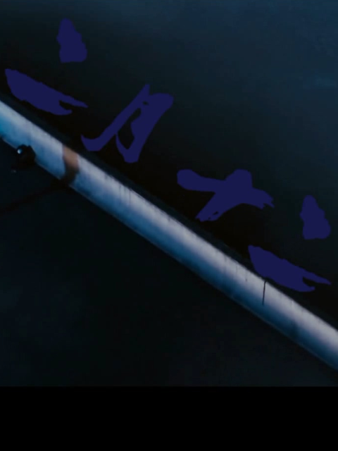 二月十二日封面图