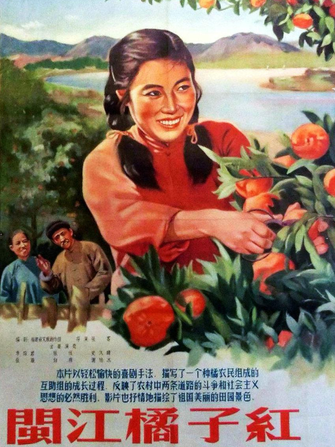 闽江橘子红封面图