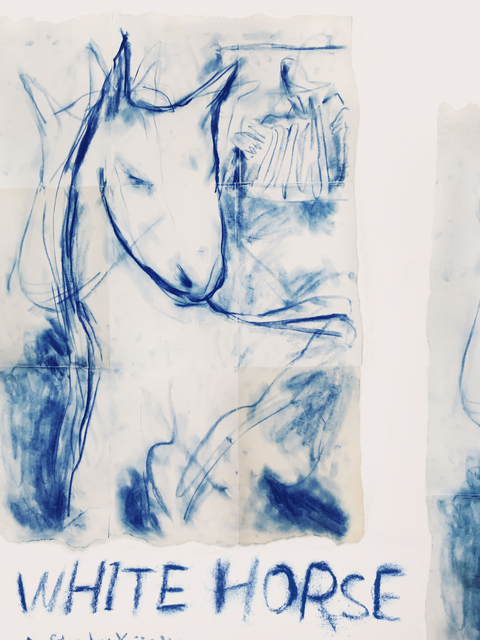 白色的马封面图