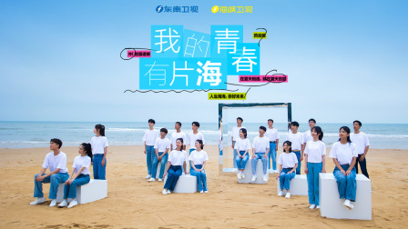 我的青春有片海封面图