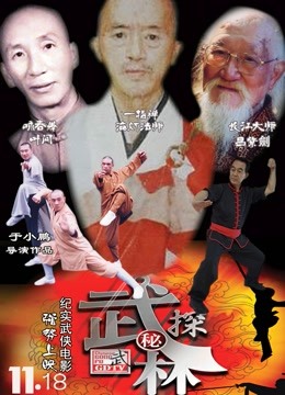 武林探秘封面图