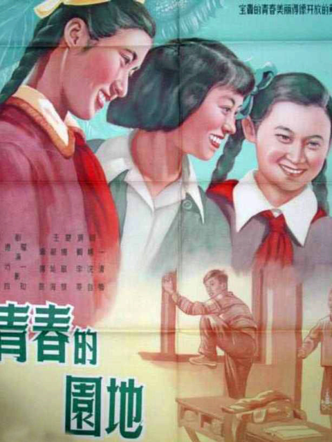 青春的园地封面图