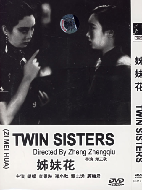 姊妹花封面图