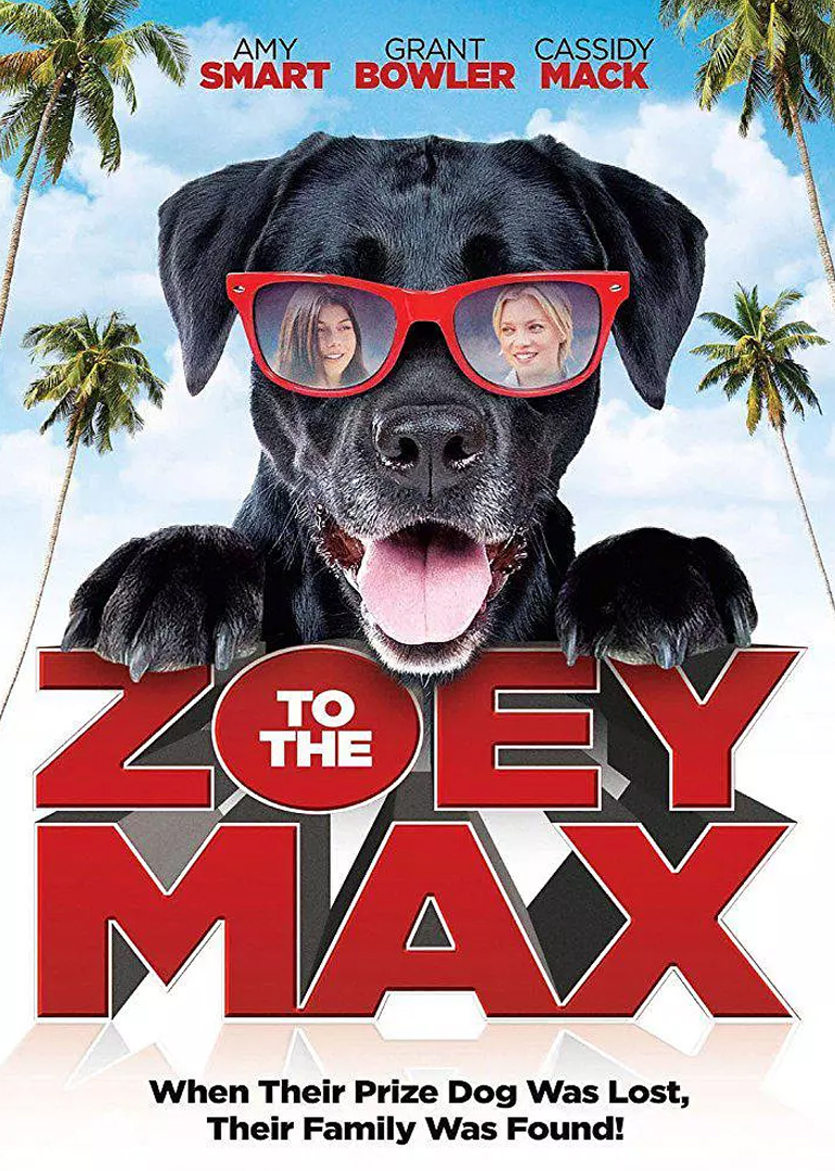 佐伊和麦克斯封面图