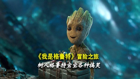 《我是格鲁特》冒险之旅封面图