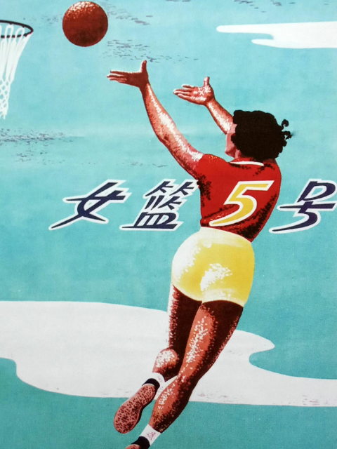 女篮五号封面图