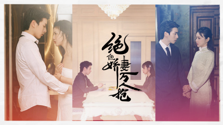绝色娇妻万人抢封面图
