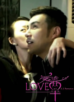 爱情两对半封面图