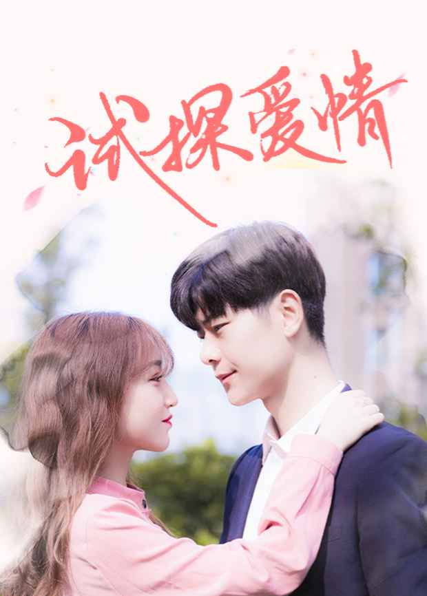 试探爱情封面图