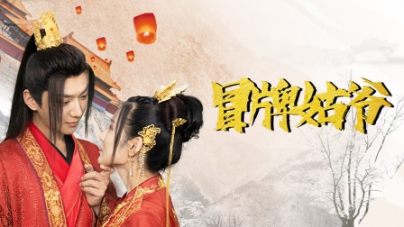 冒牌姑爷封面图