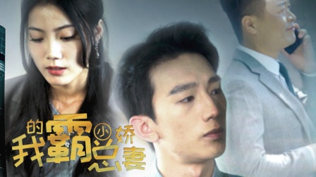 我的霸总小娇妻封面图