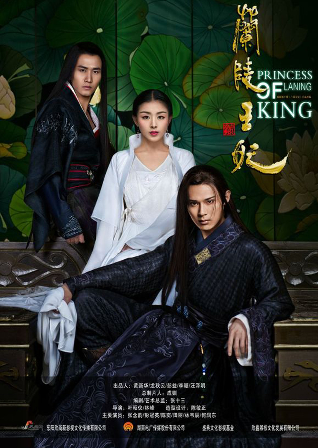 兰陵王妃DVD版封面图