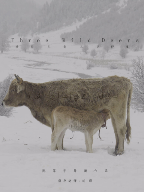 看那儿有三只野鹿封面图