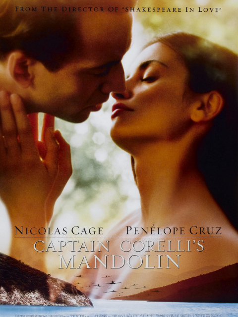 战地情人封面图