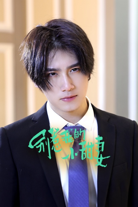 别惹我的小甜妻封面图