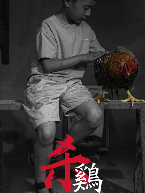 杀鸡封面图
