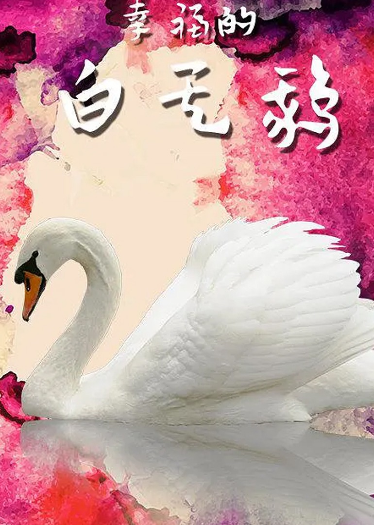 幸福的白天鹅封面图