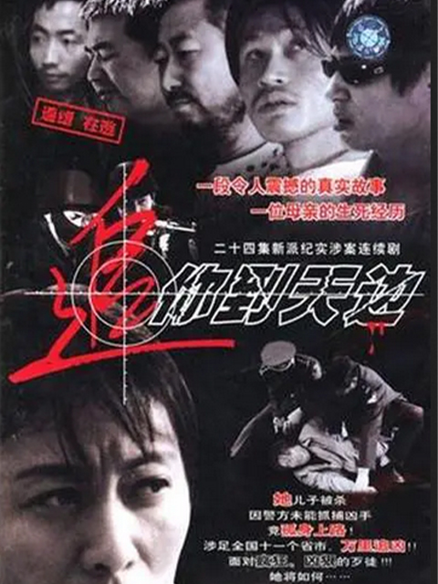 追你到天边封面图