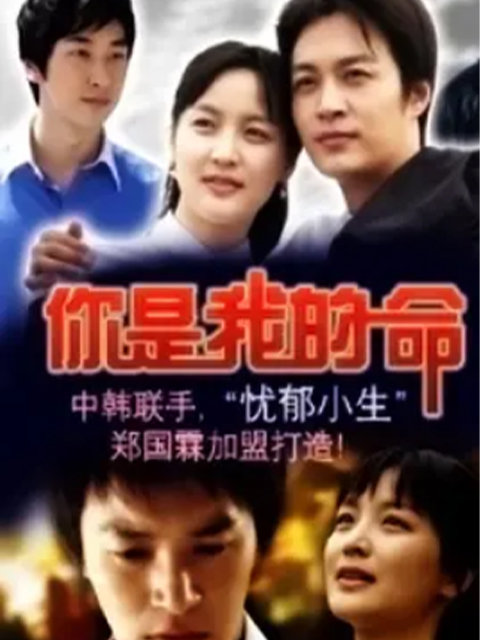 命运的春天封面图