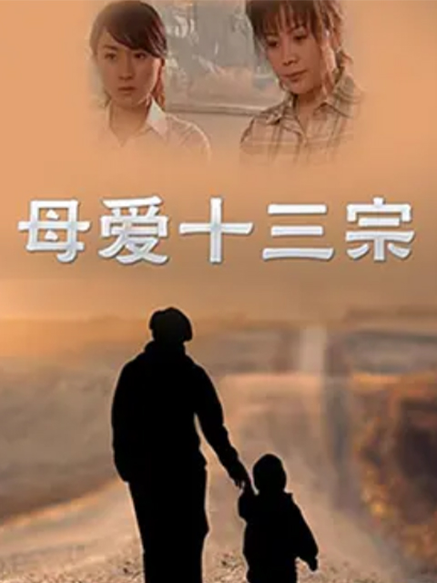 母爱十三宗封面图