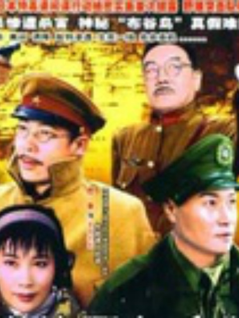 我的鄂尔多斯封面图