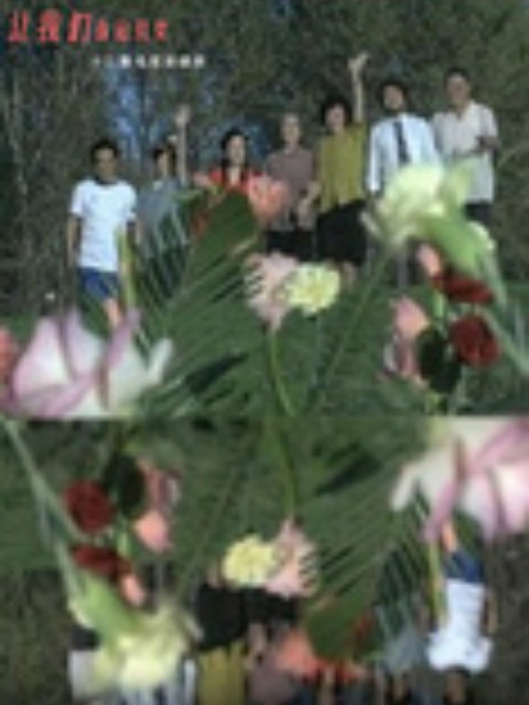 让我们荡起双桨封面图