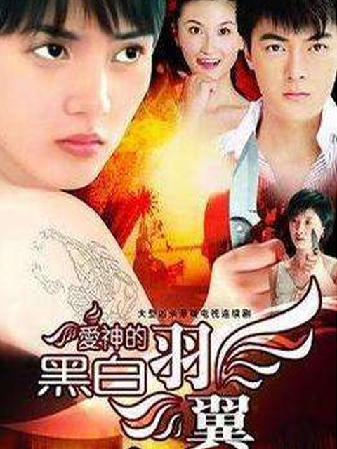 爱神的黑白羽翼封面图