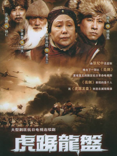 虎踞龙盘封面图