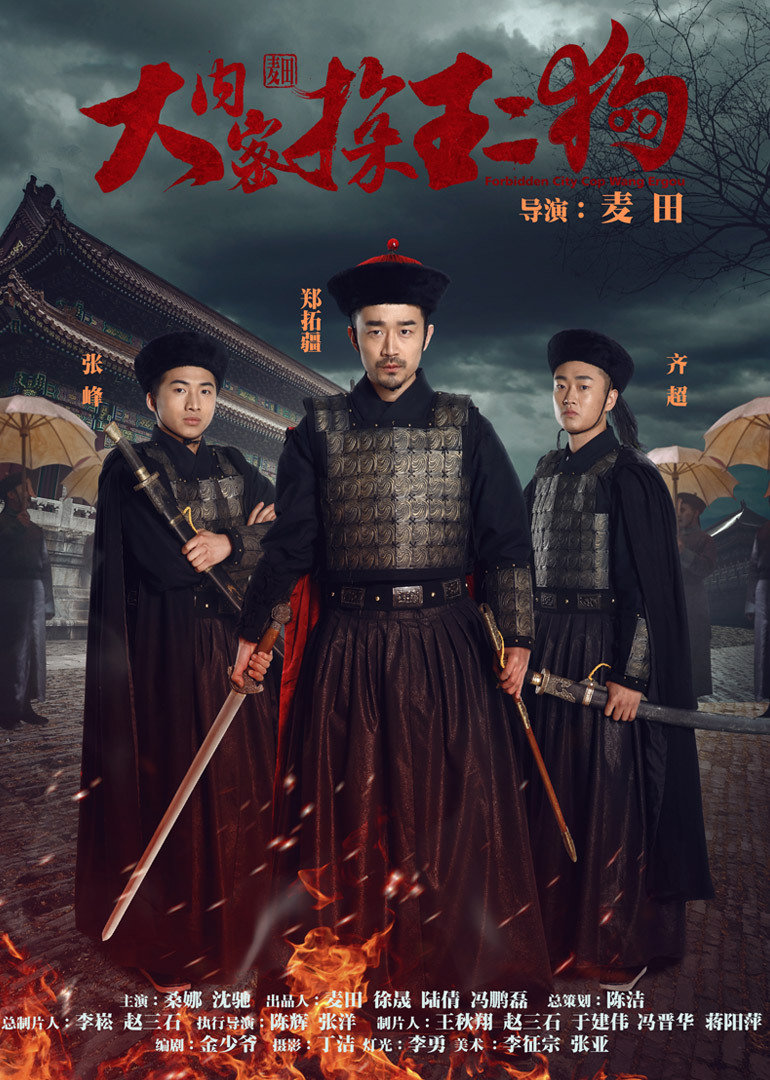 大内密探王二狗封面图