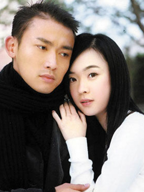 像风一样离去封面图