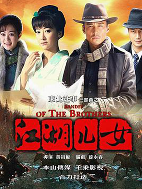 江湖儿女封面图