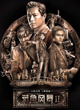 反贪风暴2封面图