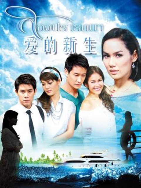 爱的新生封面图
