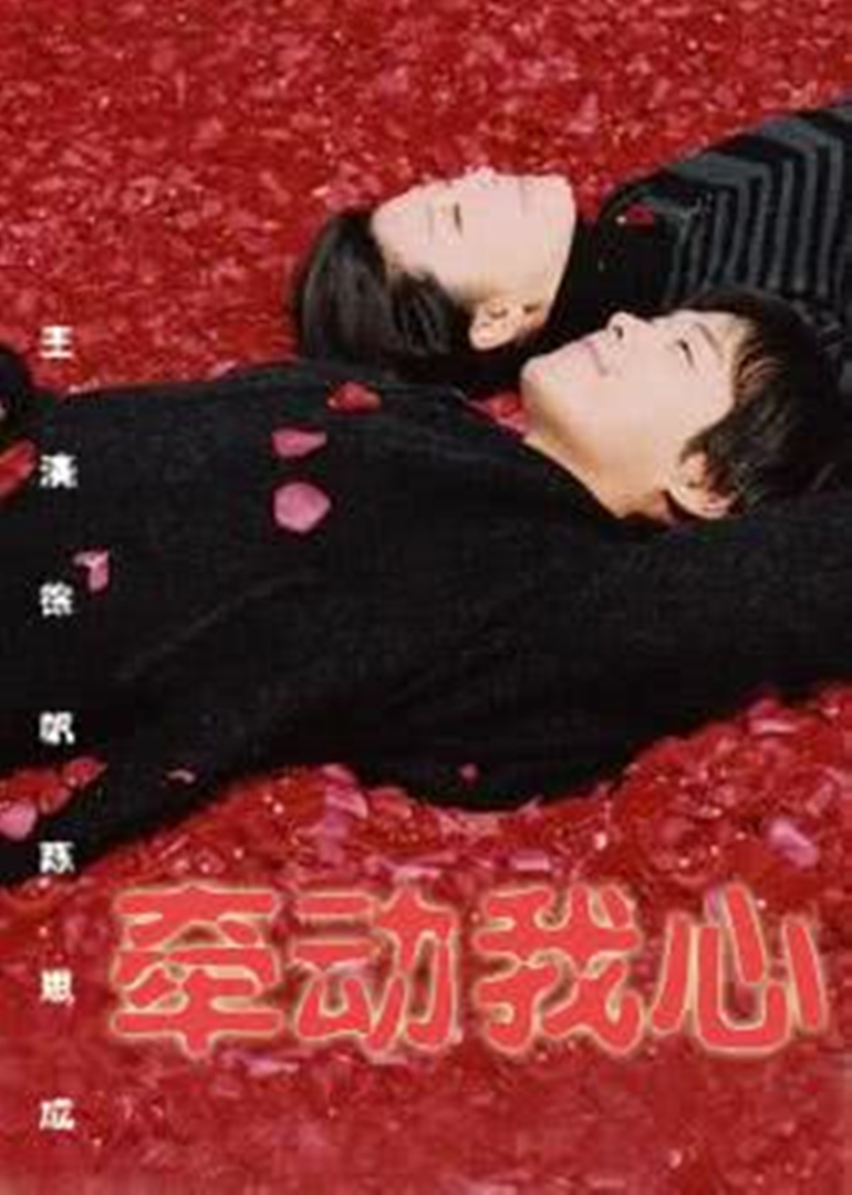 牵动我心封面图