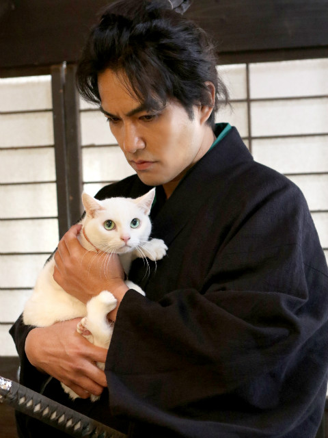 猫侍 第二季封面图