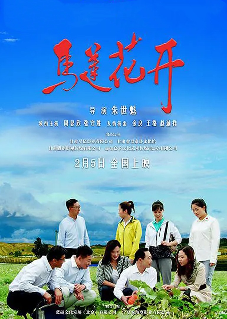 马莲花开封面图