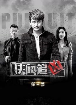 法网追凶第三季封面图