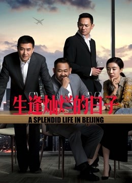 生逢灿烂的日子封面图