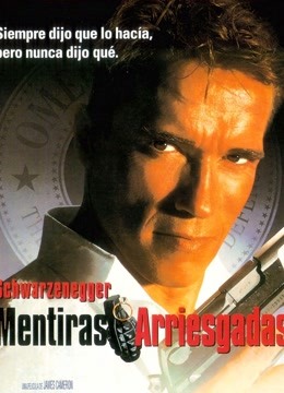 真实的谎言封面图