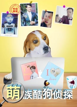 萌族酷狗侦探第一季封面图
