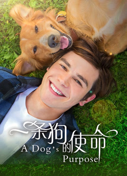 一条狗的使命封面图