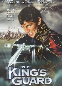 国王卫士封面图