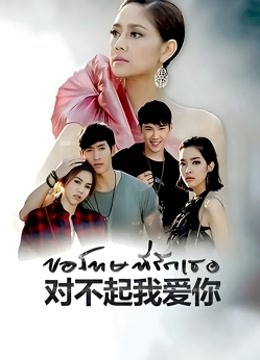 泰版对不起我爱你普通话版封面图