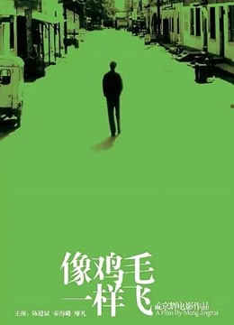 像鸡毛一样飞封面图