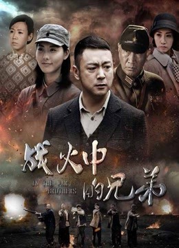 战火中的兄弟封面图