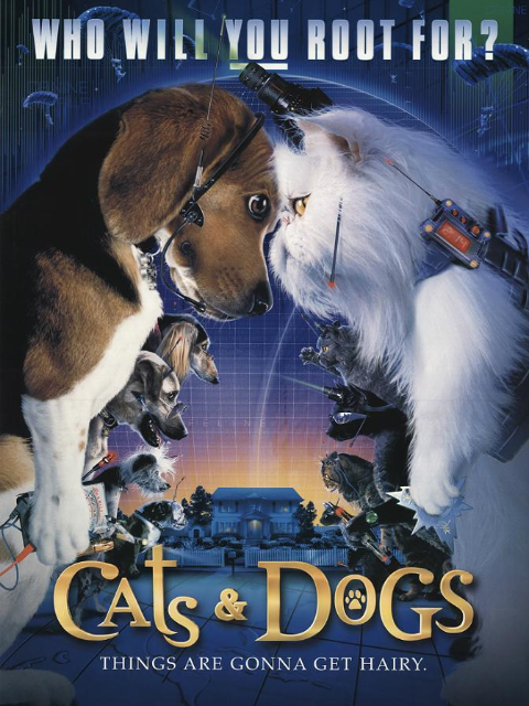 猫狗大战封面图