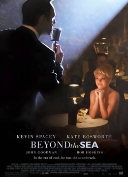 飞跃情海封面图