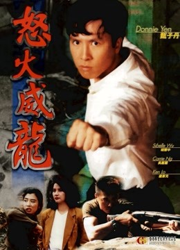 怒火威龙封面图