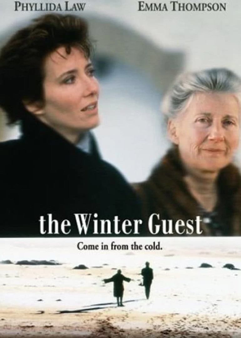 冬天的访客封面图