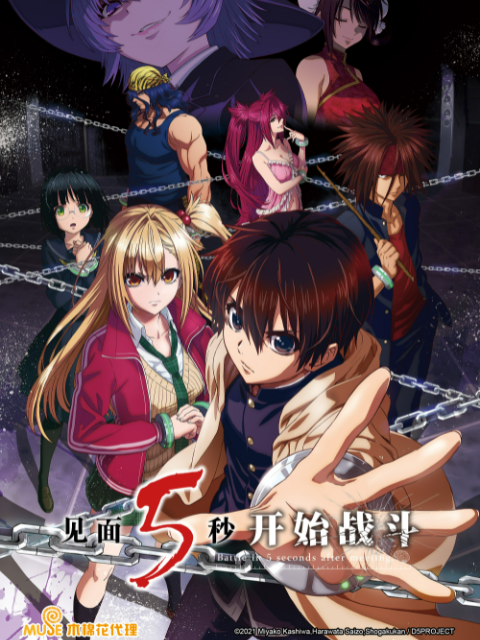 见面5秒开始战斗封面图